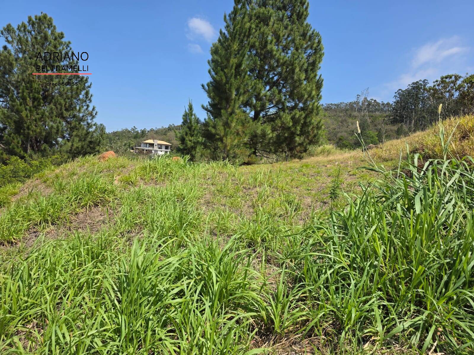 Terreno, 2170 m² - Foto 22