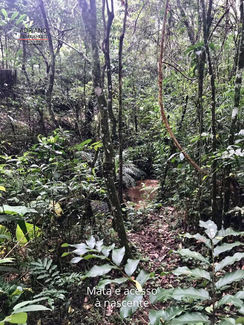 Sítio, 3 quartos, 2 hectares - Foto 28