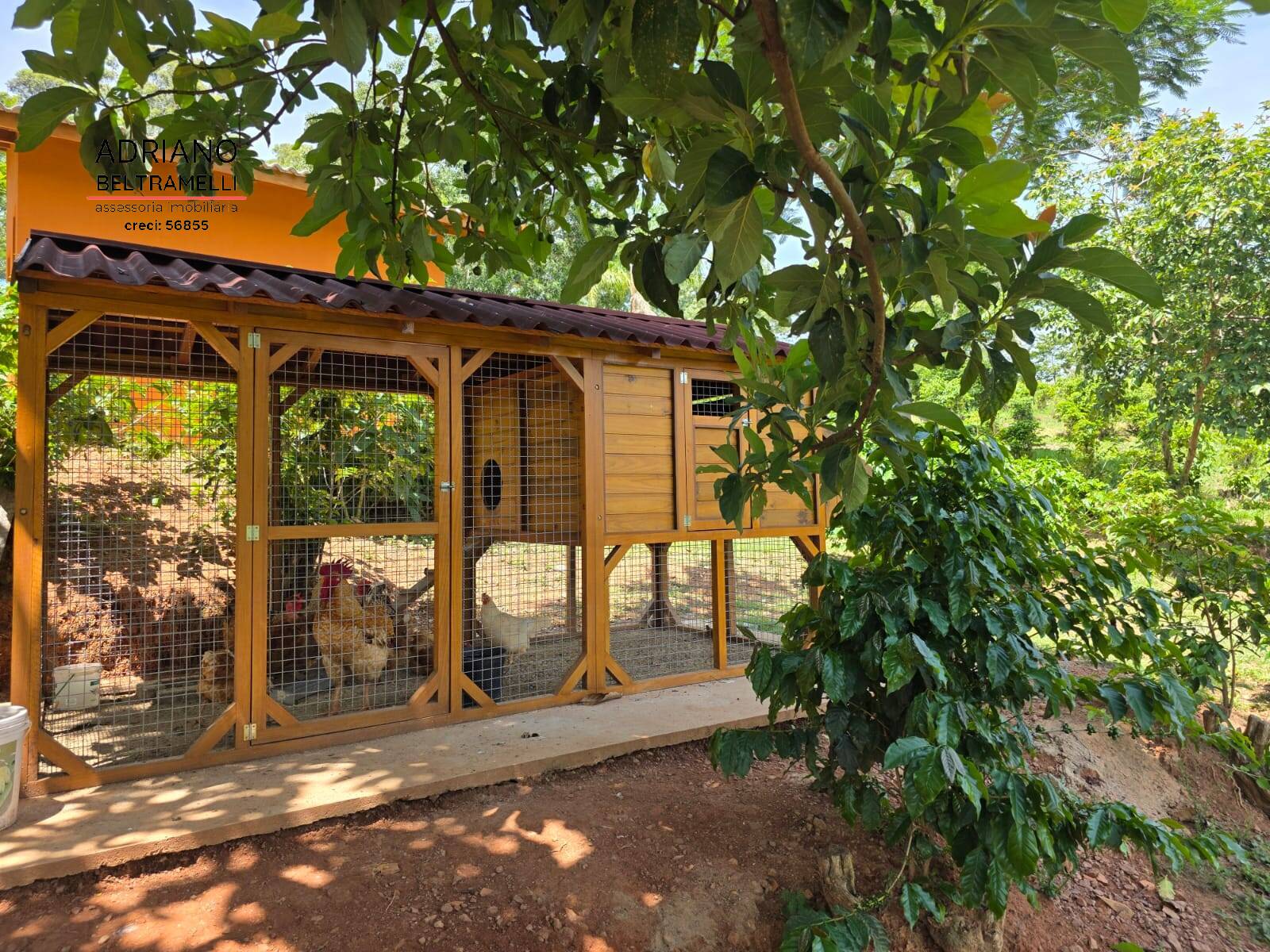 Sítio, 1 quarto, 5 hectares - Foto 4