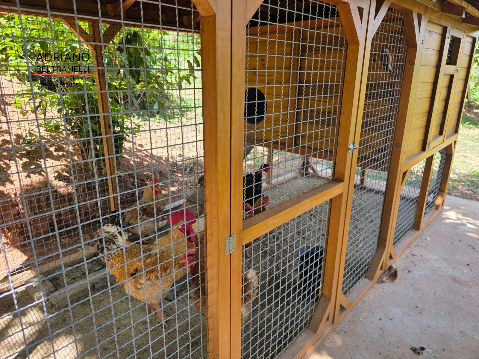 Sítio, 1 quarto, 5 hectares - Foto 5