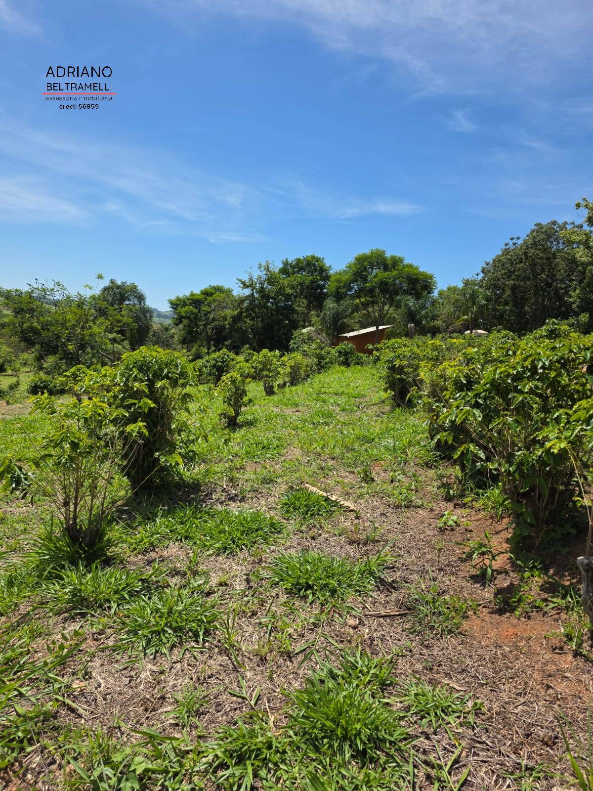 Sítio, 1 quarto, 5 hectares - Foto 9