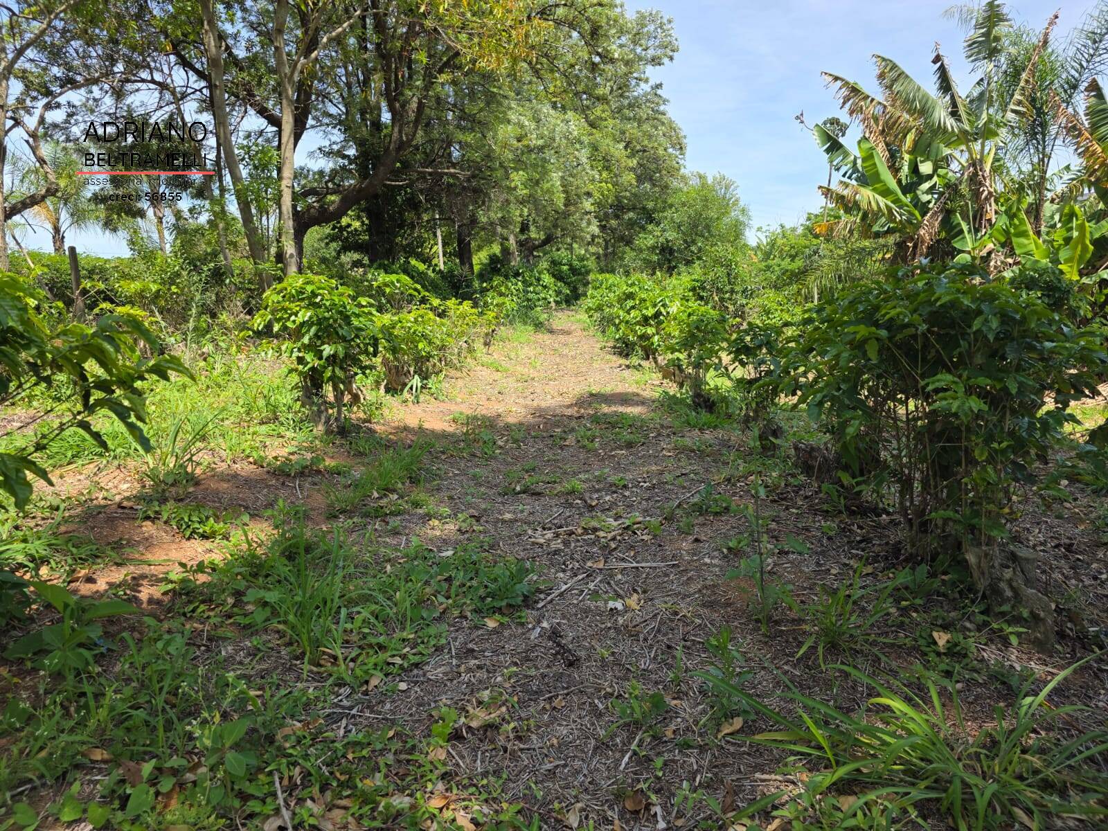 Sítio, 1 quarto, 5 hectares - Foto 12