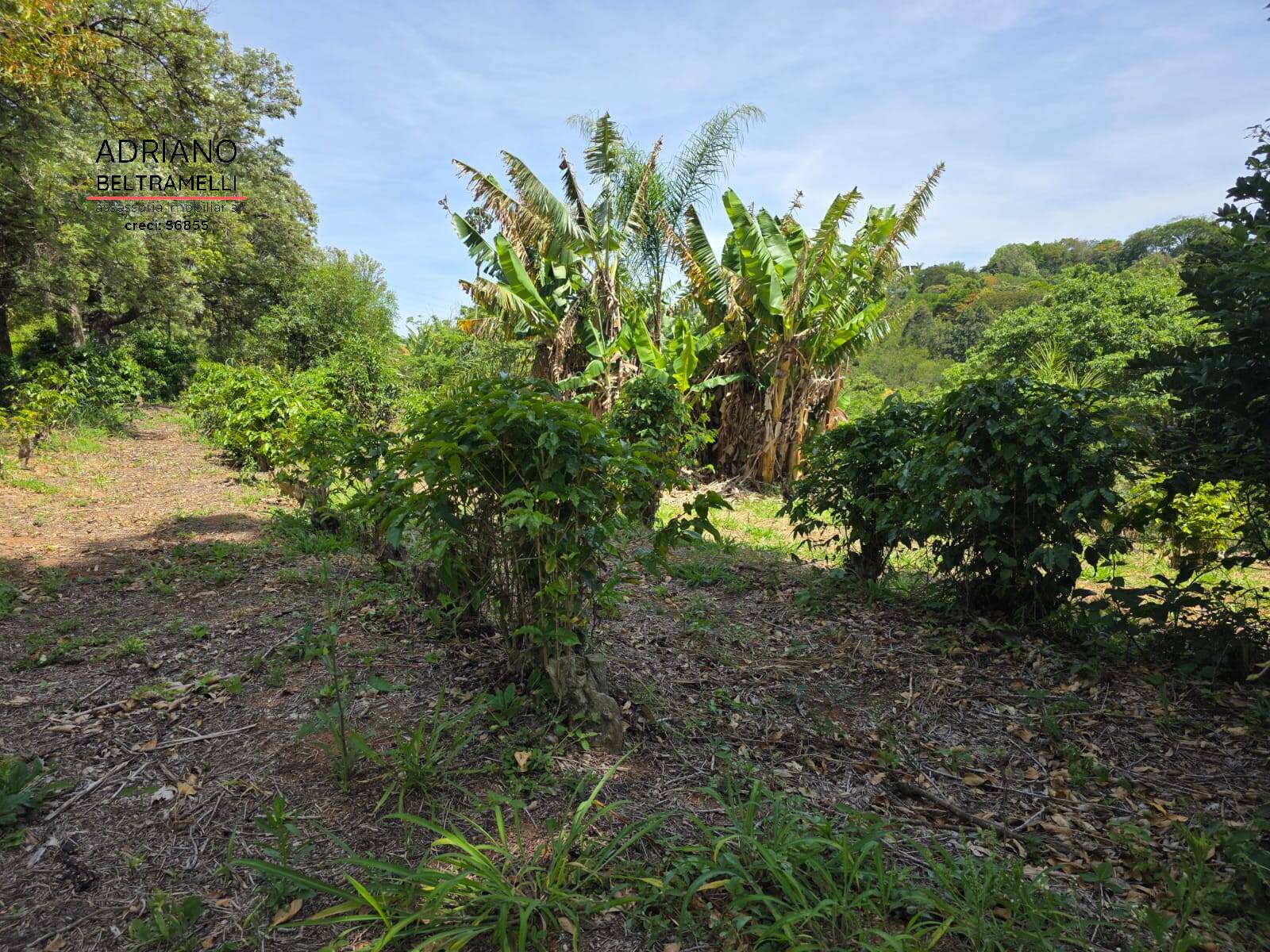 Sítio, 1 quarto, 5 hectares - Foto 11