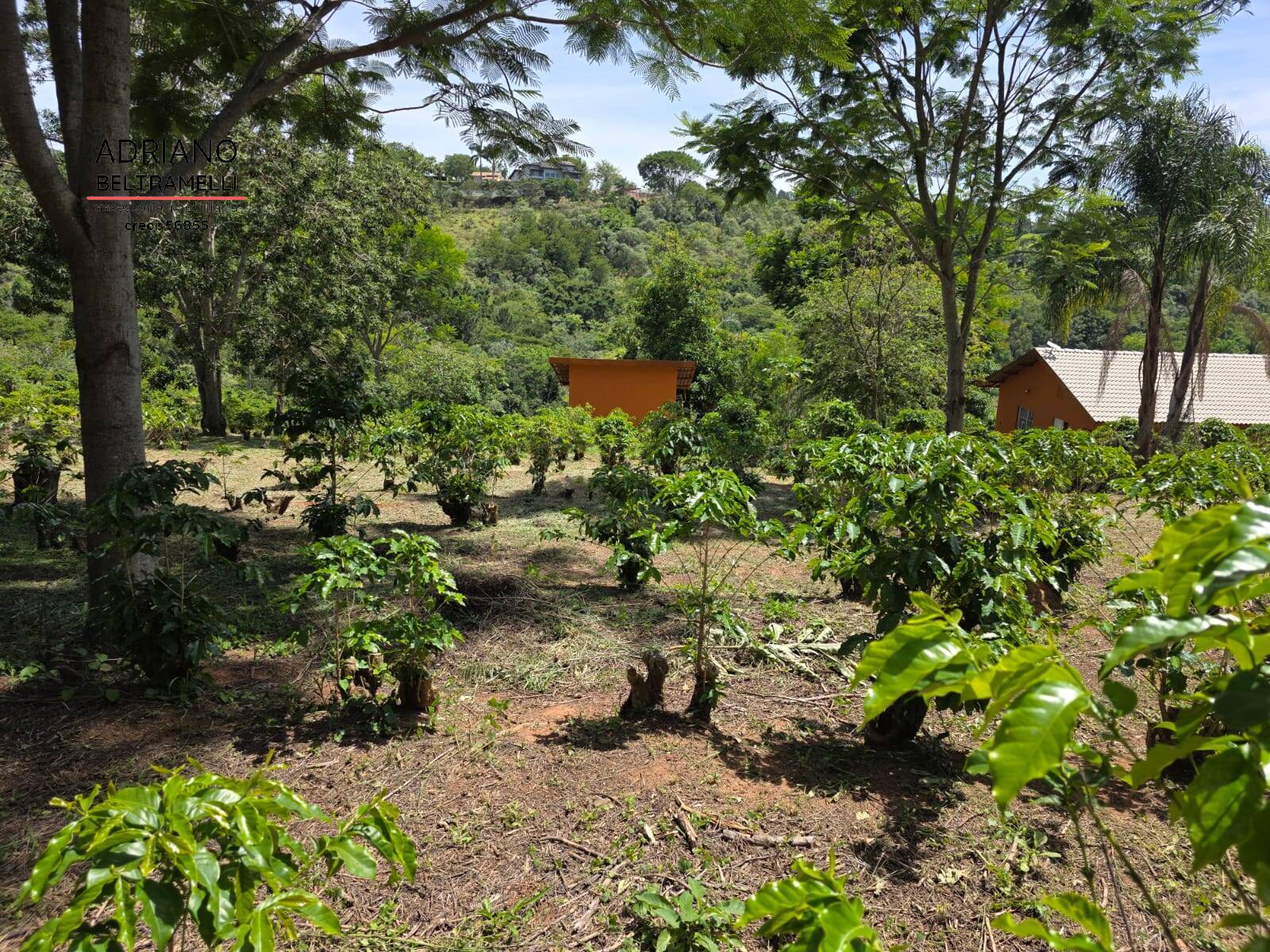 Sítio, 1 quarto, 5 hectares - Foto 17