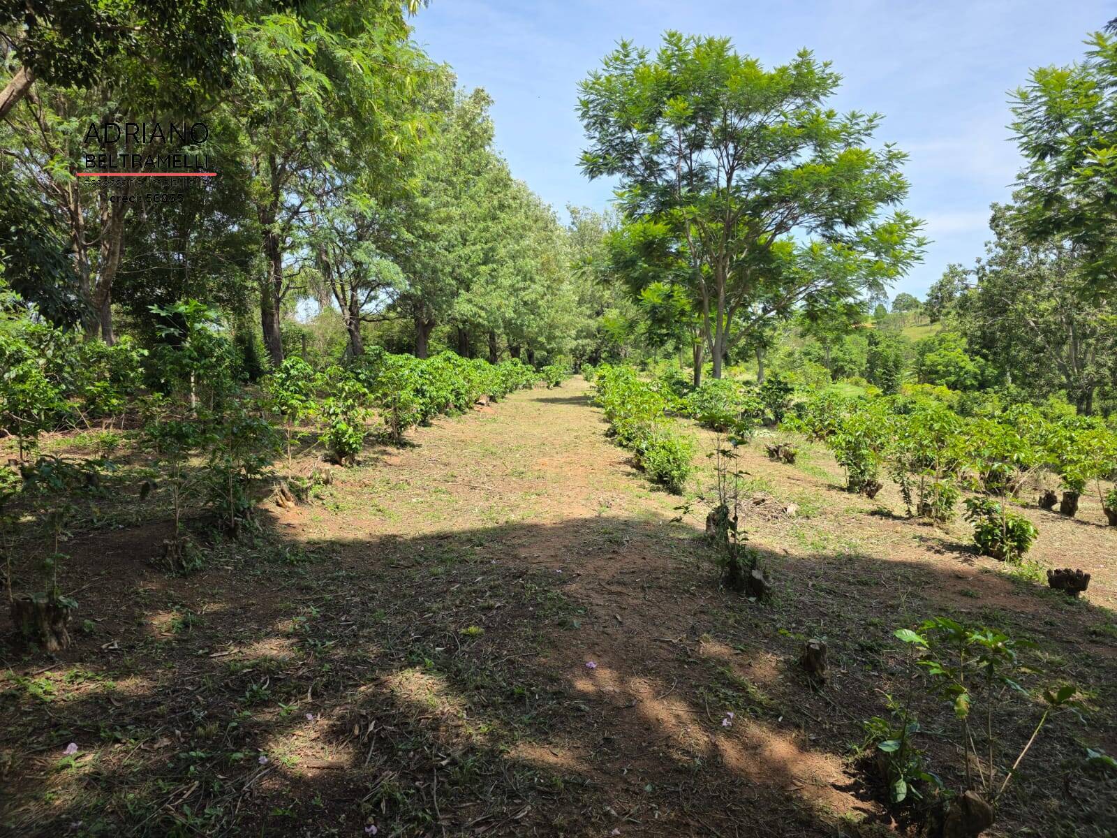 Sítio, 1 quarto, 5 hectares - Foto 19