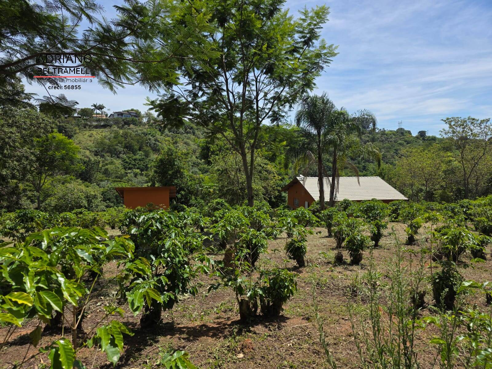 Sítio, 1 quarto, 5 hectares - Foto 20