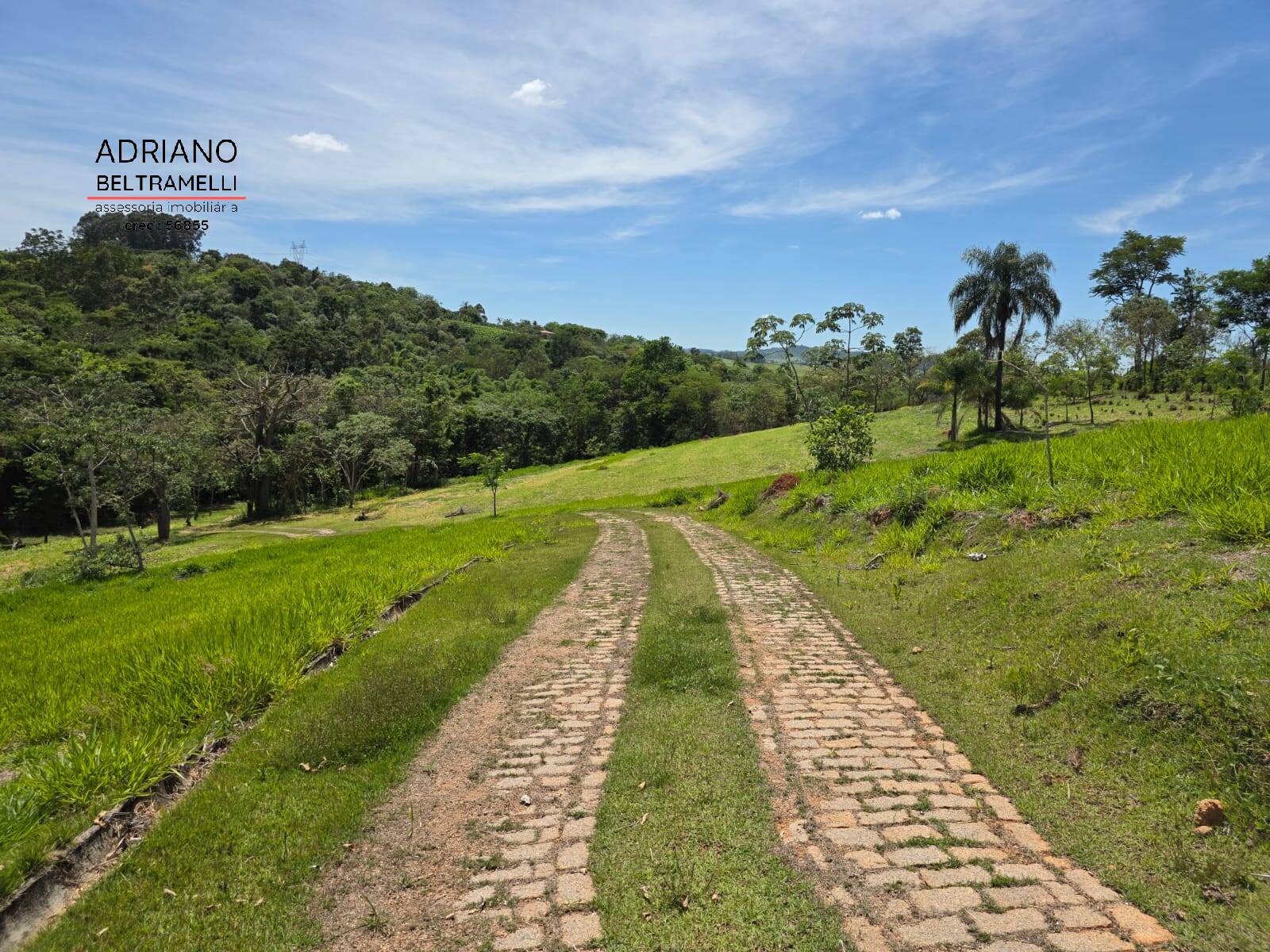 Sítio, 1 quarto, 5 hectares - Foto 23