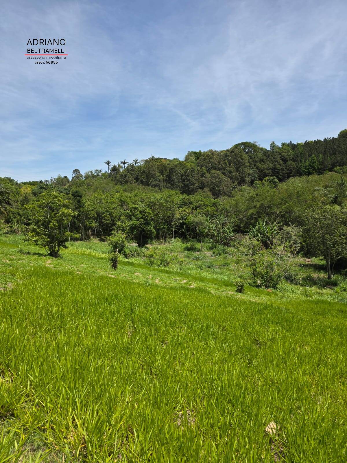 Sítio, 1 quarto, 5 hectares - Foto 24