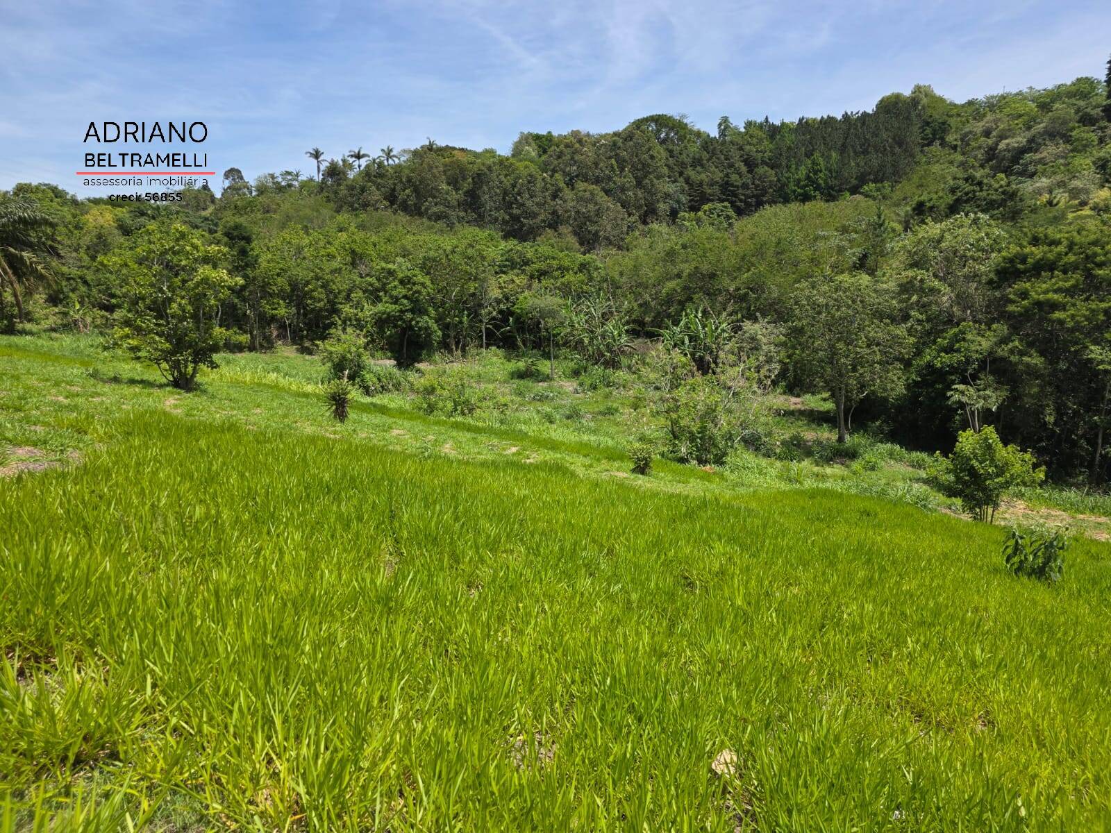 Sítio, 1 quarto, 5 hectares - Foto 25