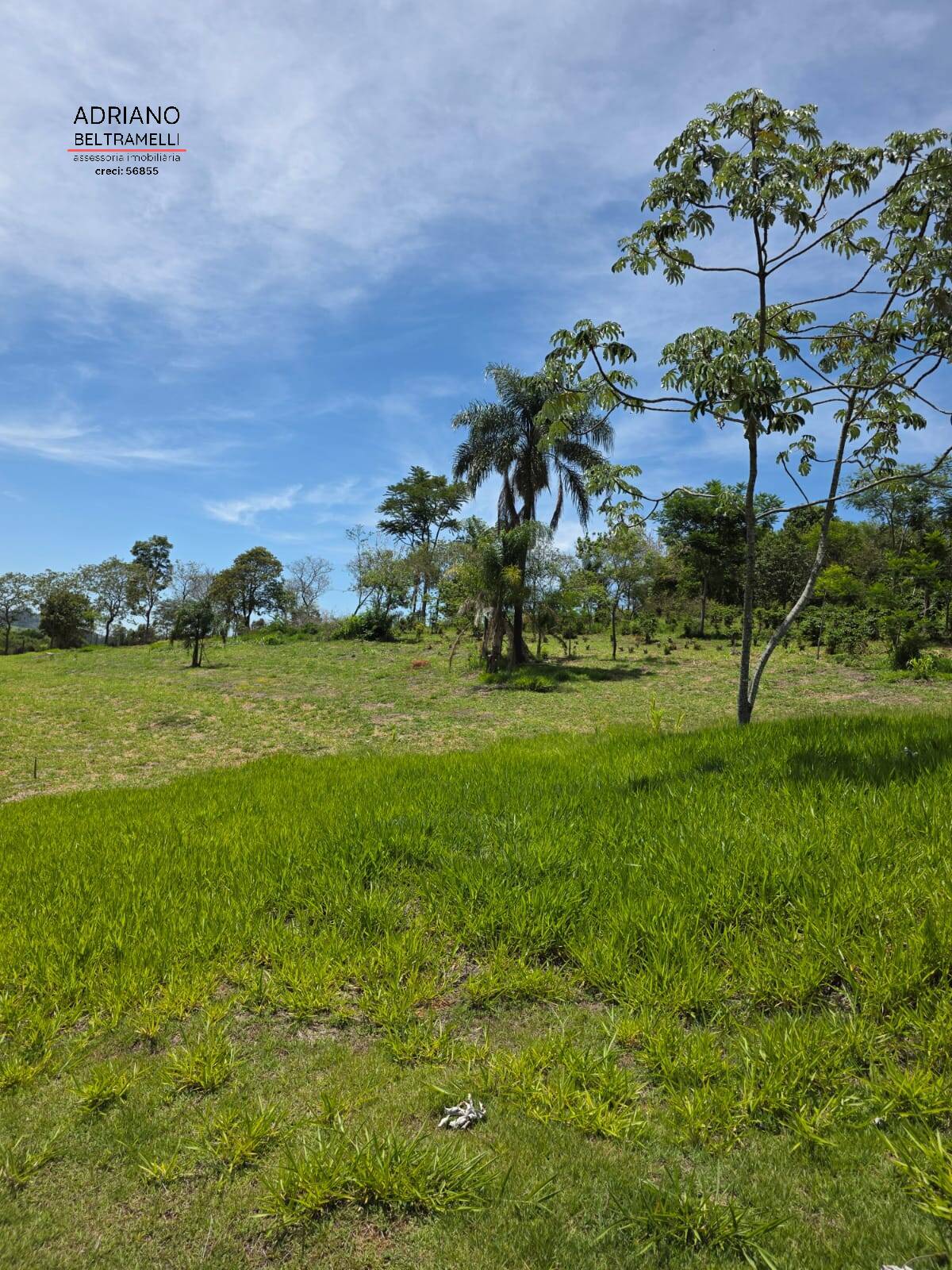 Sítio, 1 quarto, 5 hectares - Foto 26