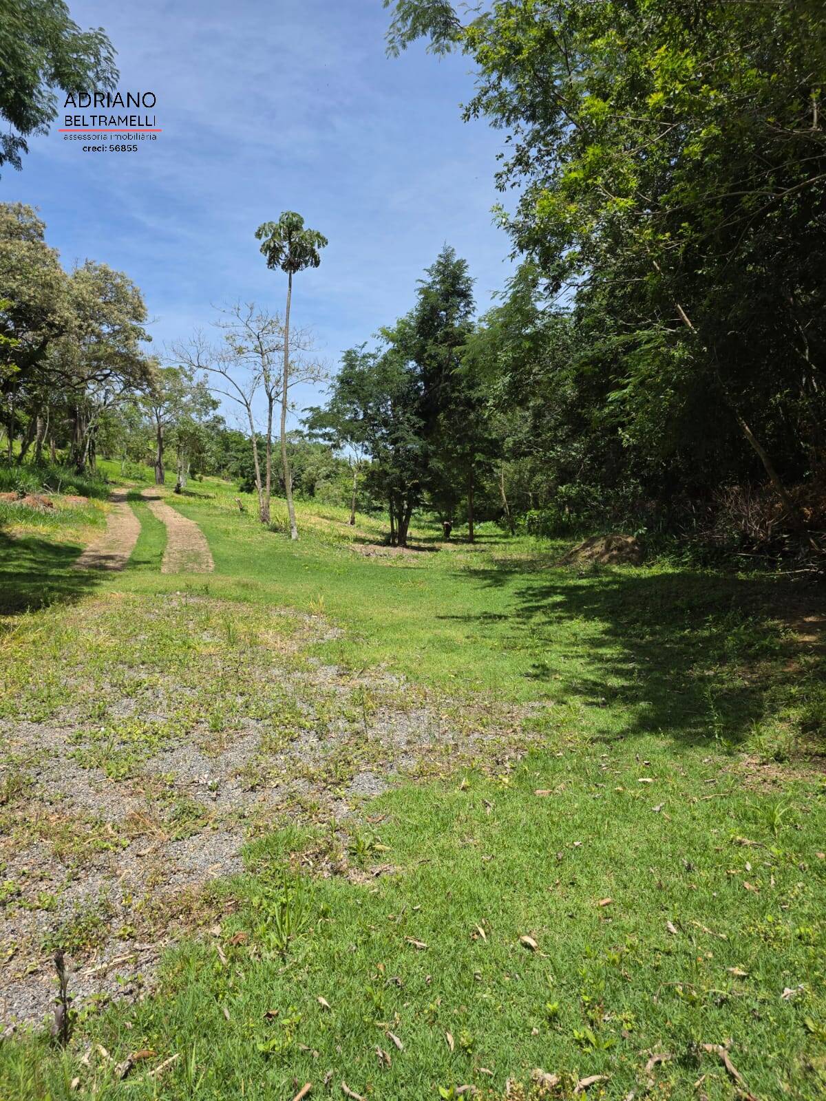 Sítio, 1 quarto, 5 hectares - Foto 27