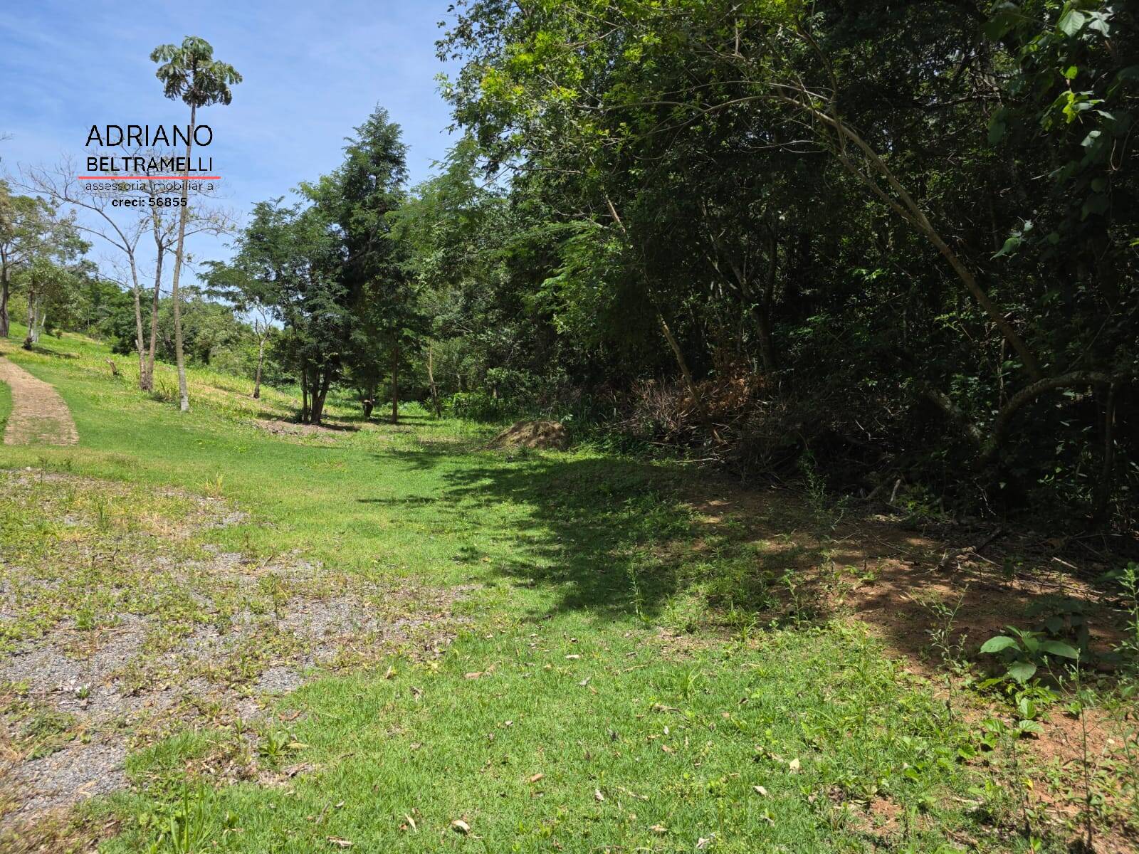 Sítio, 1 quarto, 5 hectares - Foto 28