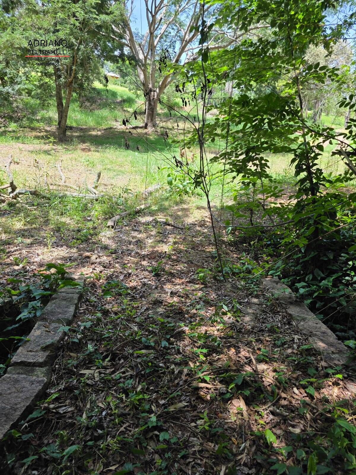 Sítio, 1 quarto, 5 hectares - Foto 29