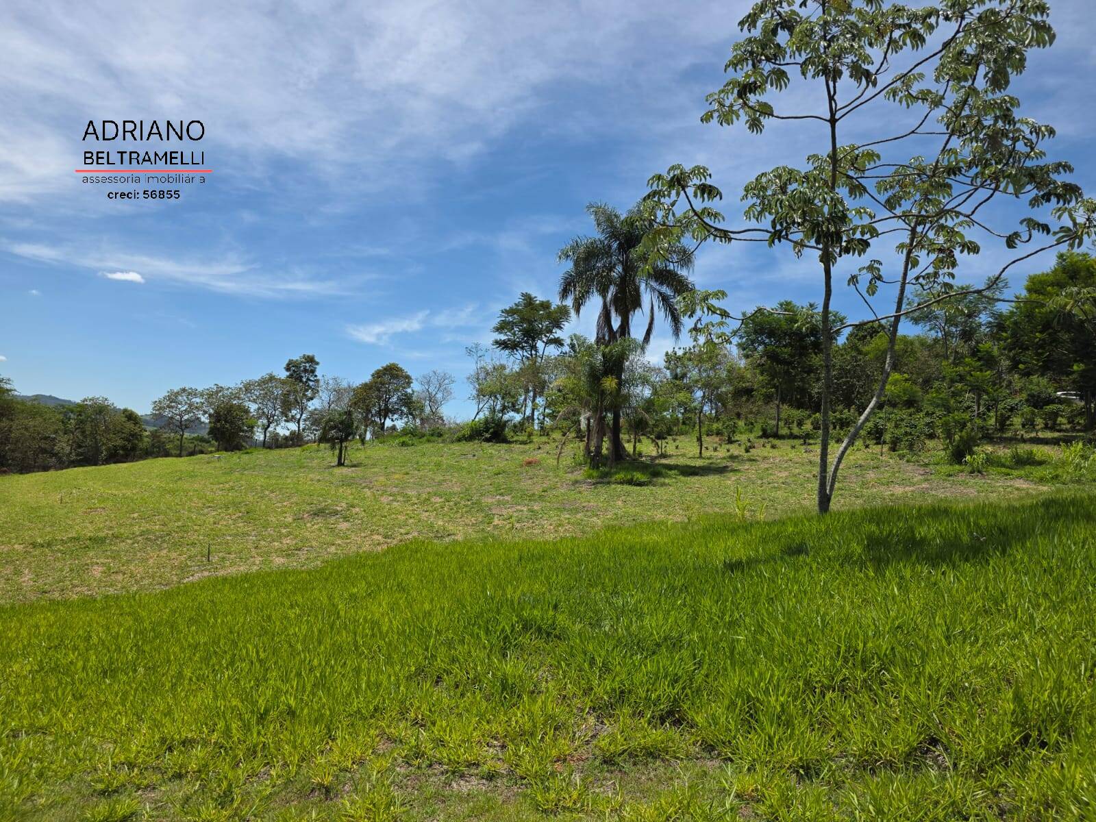 Sítio, 1 quarto, 5 hectares - Foto 30