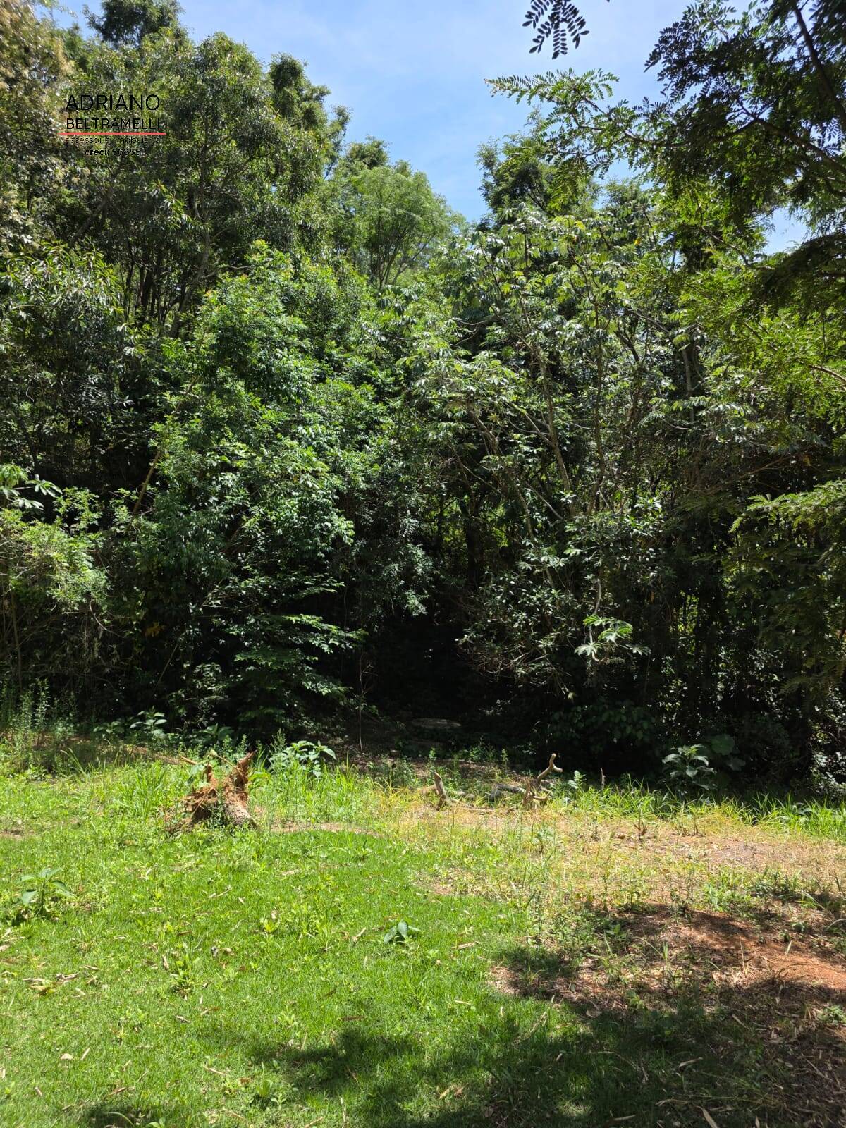 Sítio, 1 quarto, 5 hectares - Foto 33