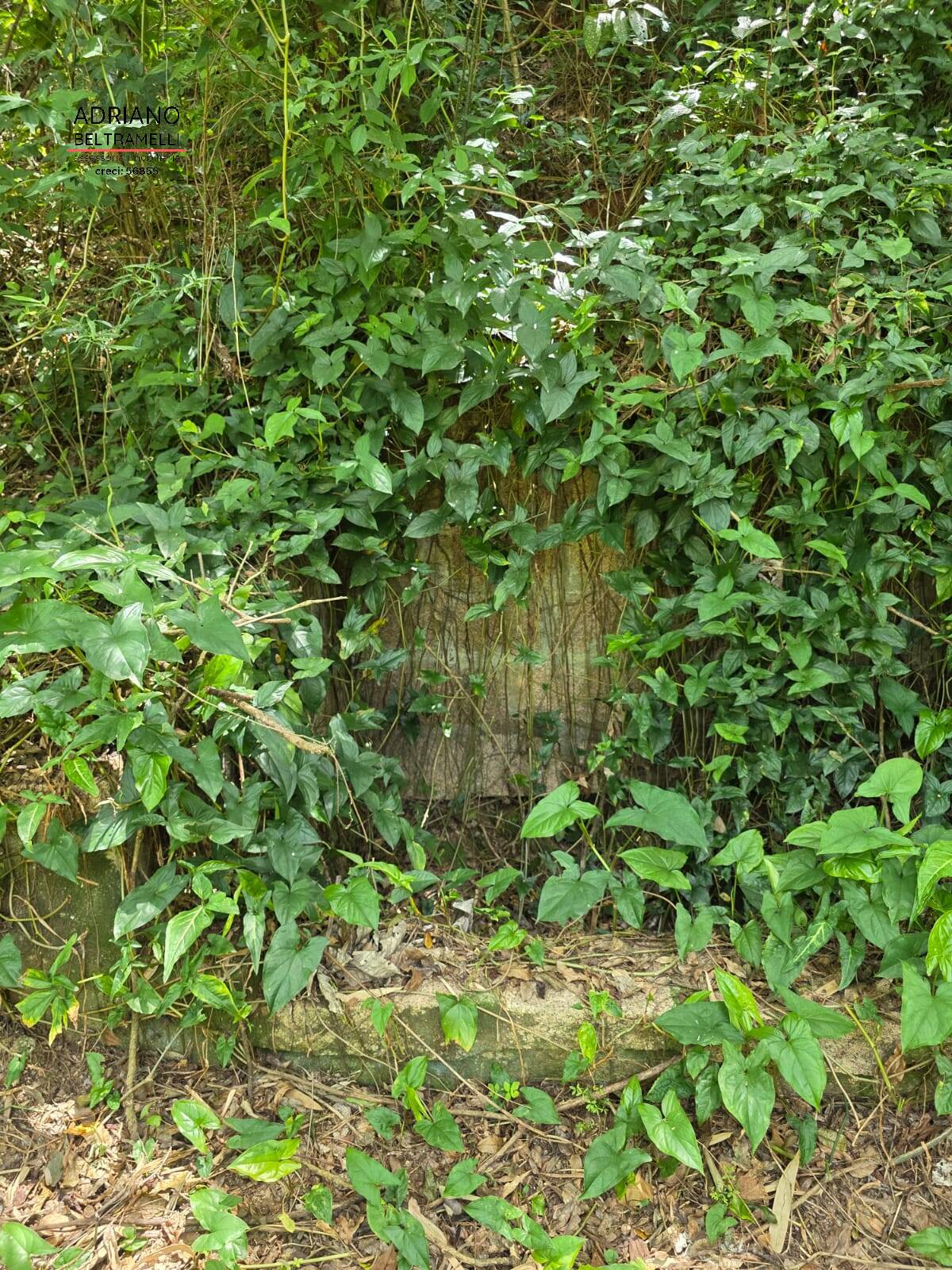 Sítio, 1 quarto, 5 hectares - Foto 34