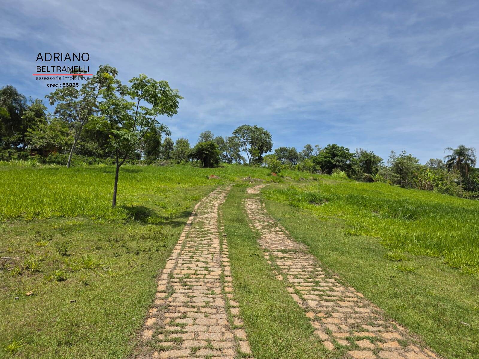 Sítio, 1 quarto, 5 hectares - Foto 38