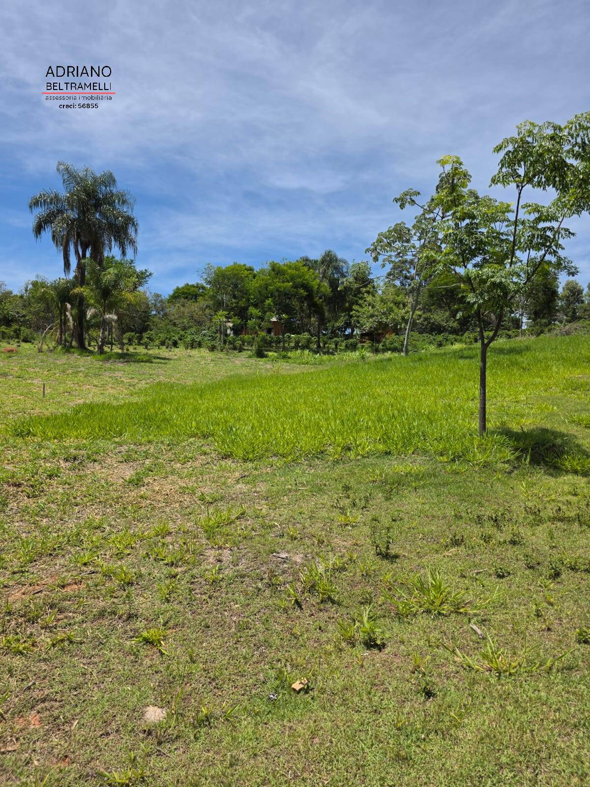 Sítio, 1 quarto, 5 hectares - Foto 39