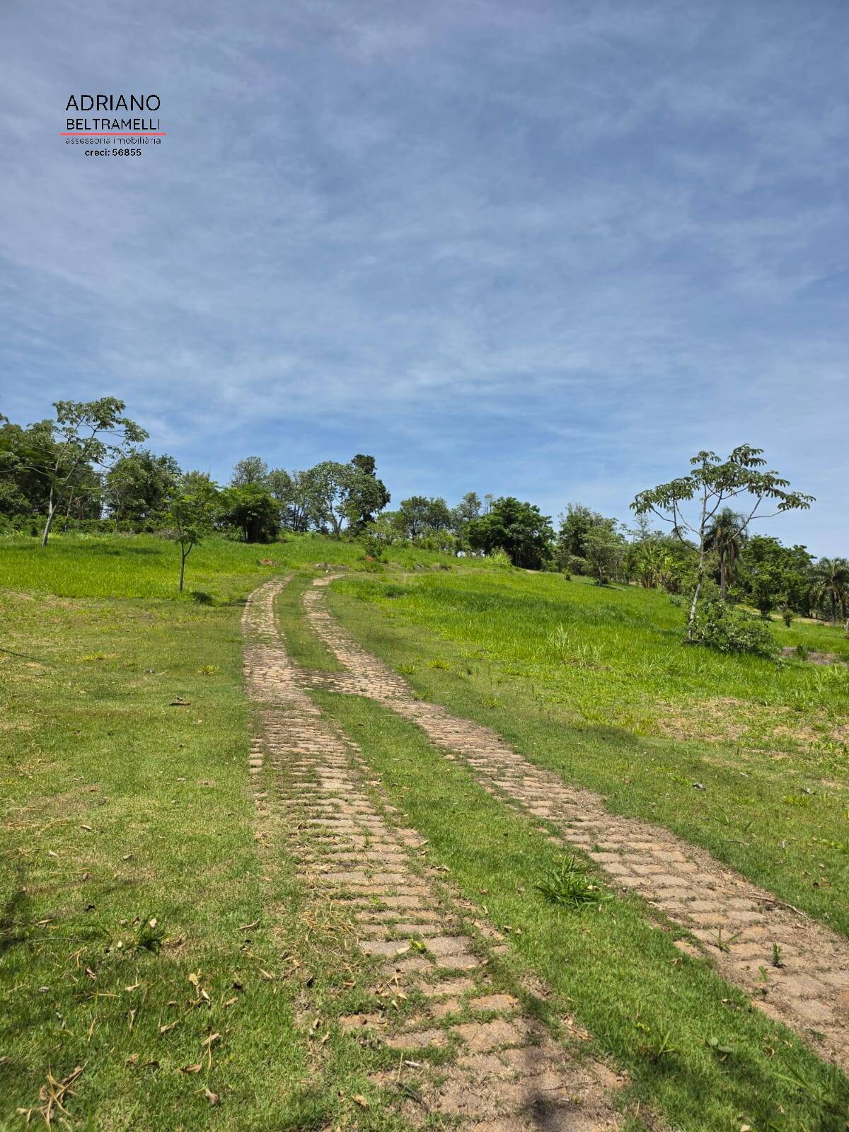 Sítio, 1 quarto, 5 hectares - Foto 41