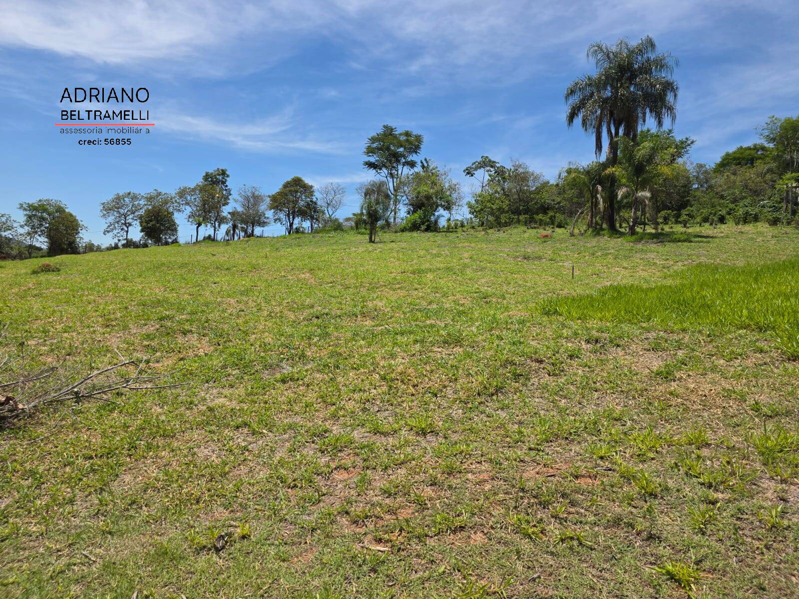 Sítio, 1 quarto, 5 hectares - Foto 44