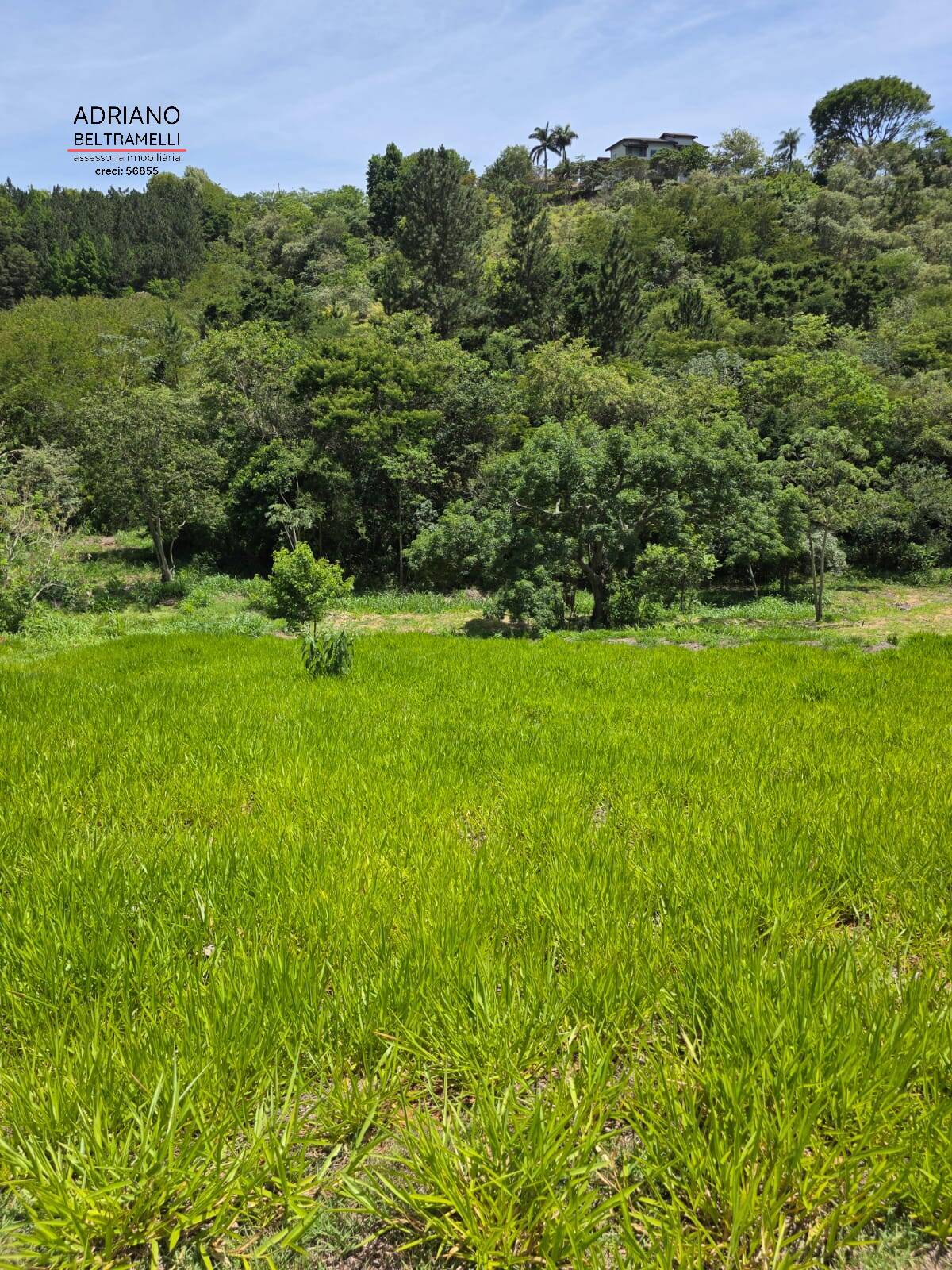 Sítio, 1 quarto, 5 hectares - Foto 46