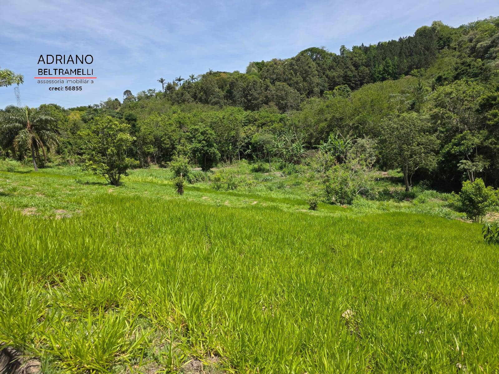 Sítio, 1 quarto, 5 hectares - Foto 47