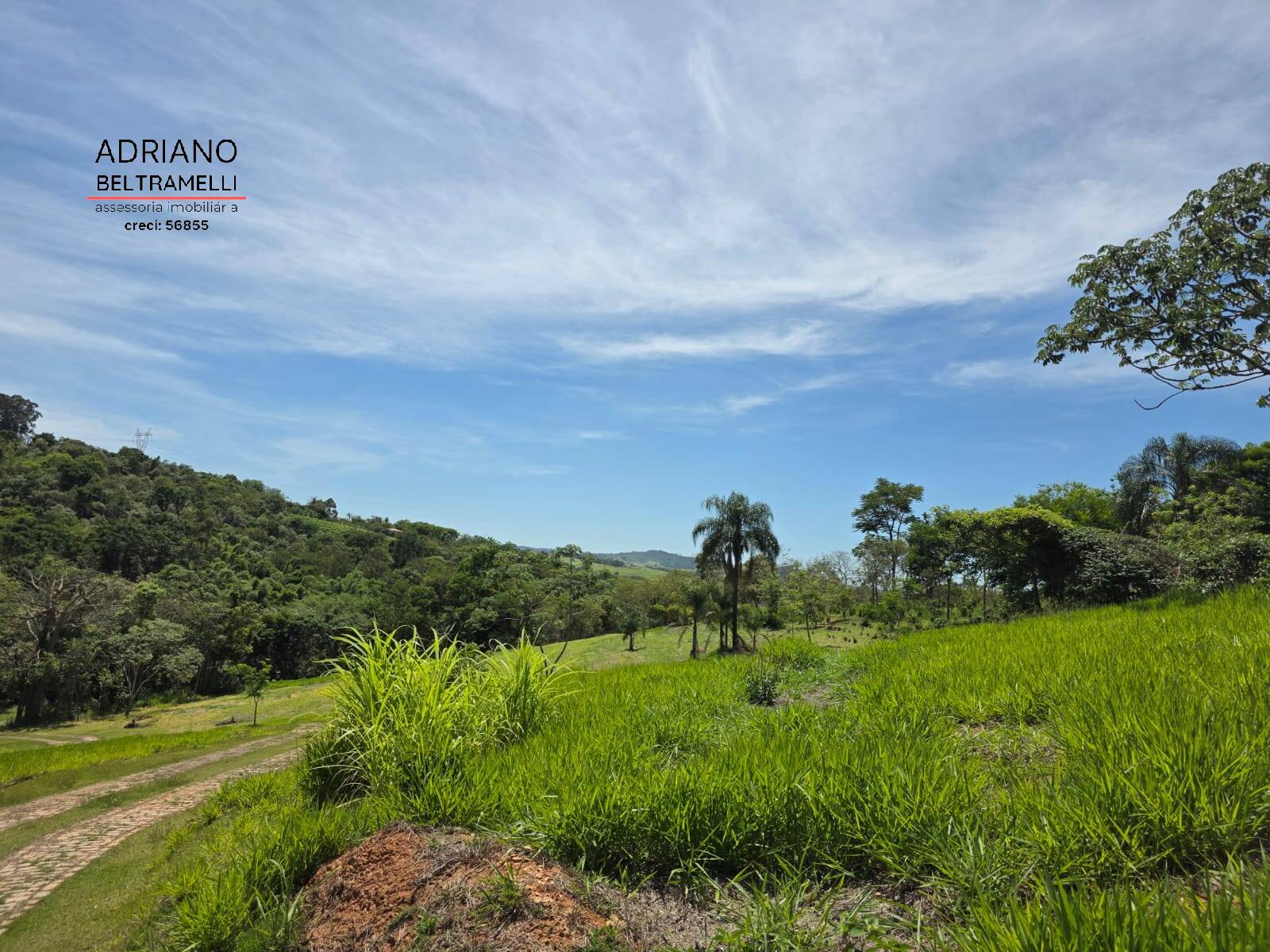 Sítio, 1 quarto, 5 hectares - Foto 49