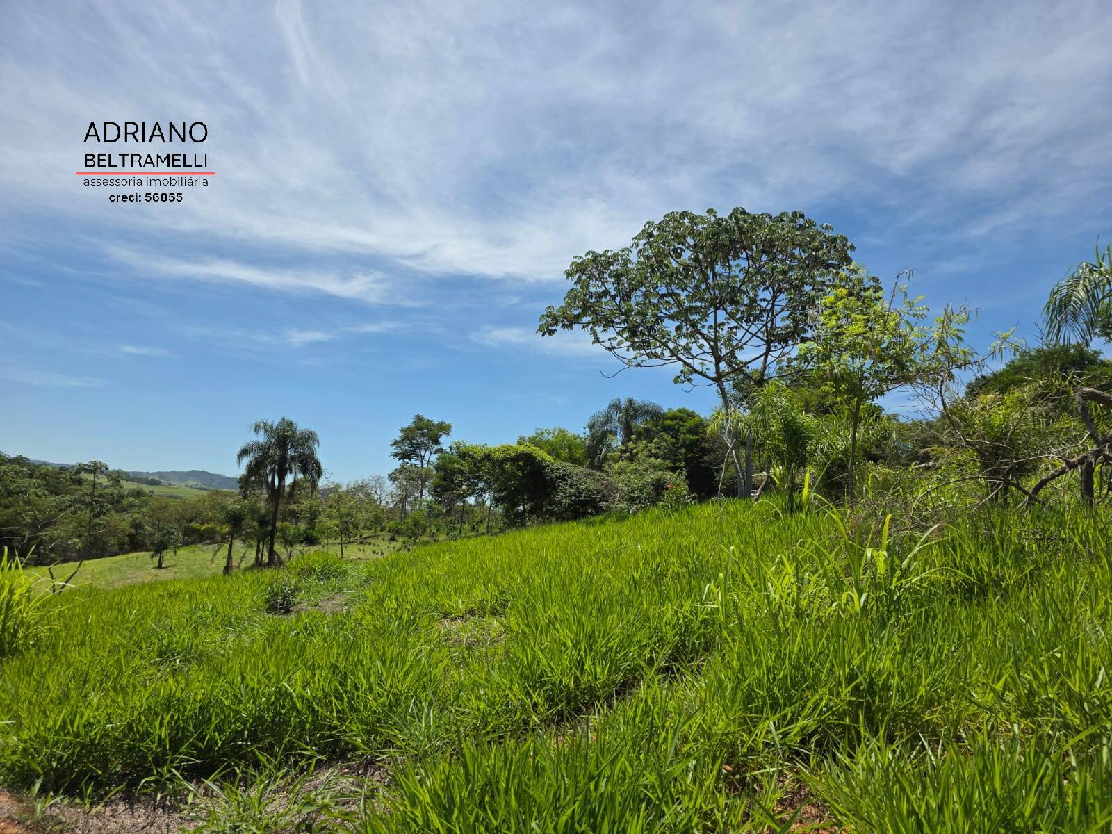 Sítio, 1 quarto, 5 hectares - Foto 50