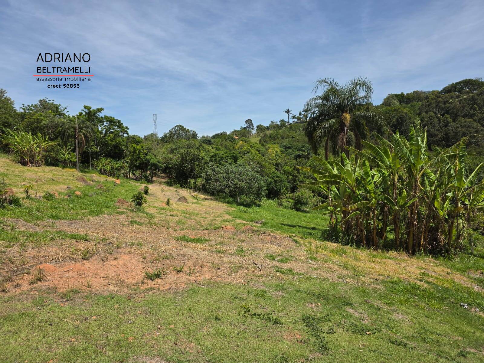 Sítio, 1 quarto, 5 hectares - Foto 51