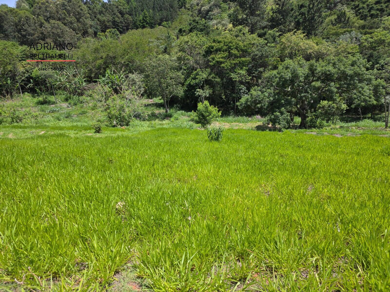 Sítio, 1 quarto, 5 hectares - Foto 52