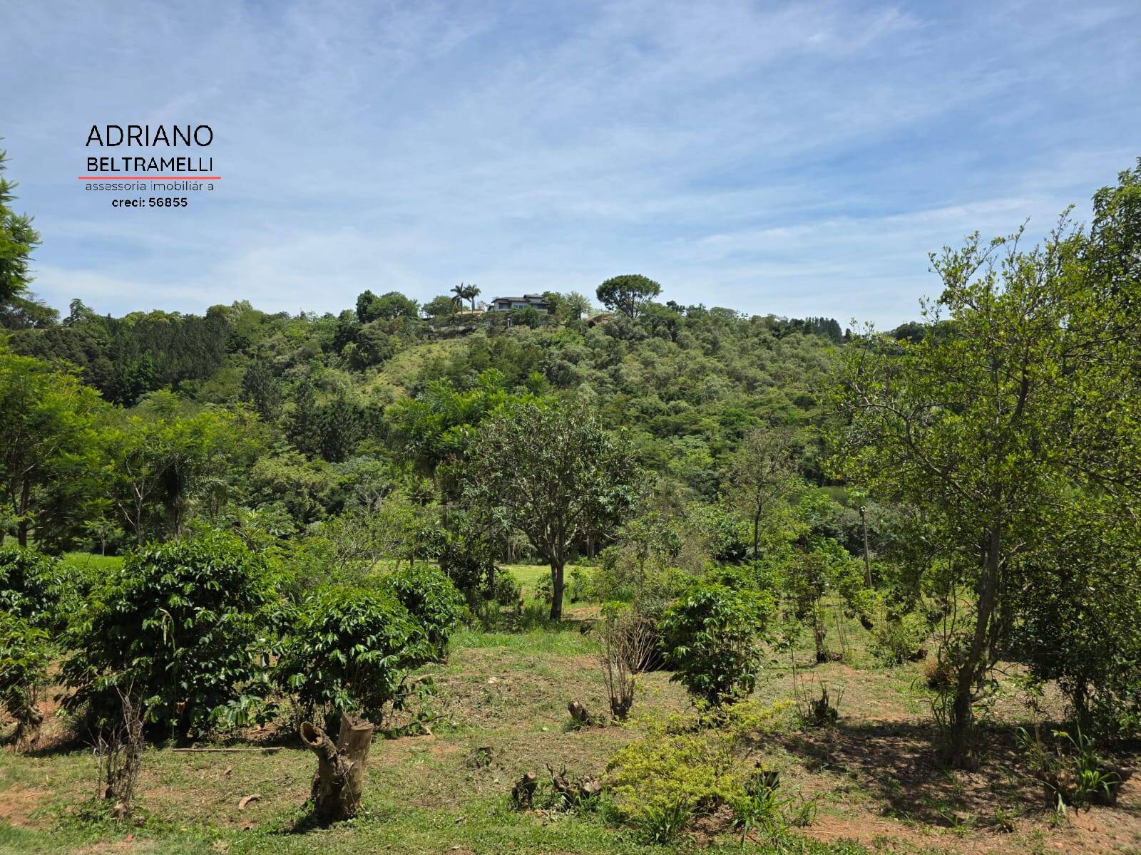 Sítio, 1 quarto, 5 hectares - Foto 53