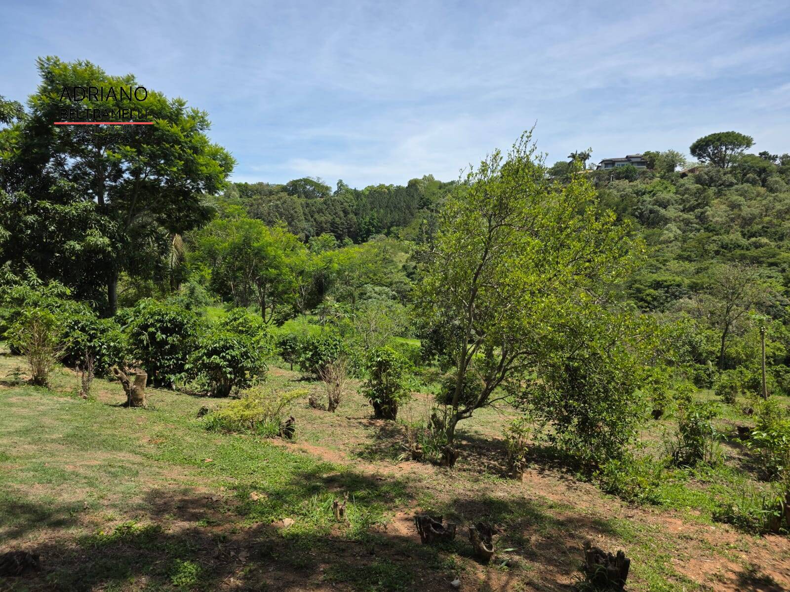 Sítio, 1 quarto, 5 hectares - Foto 56