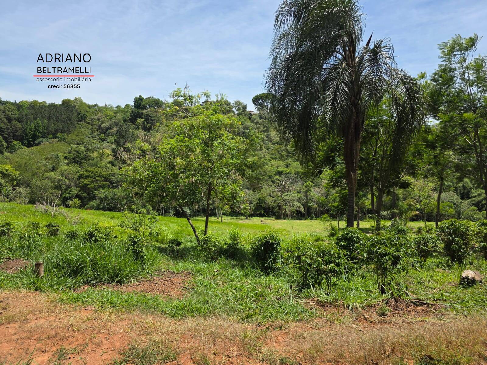 Sítio, 1 quarto, 5 hectares - Foto 57