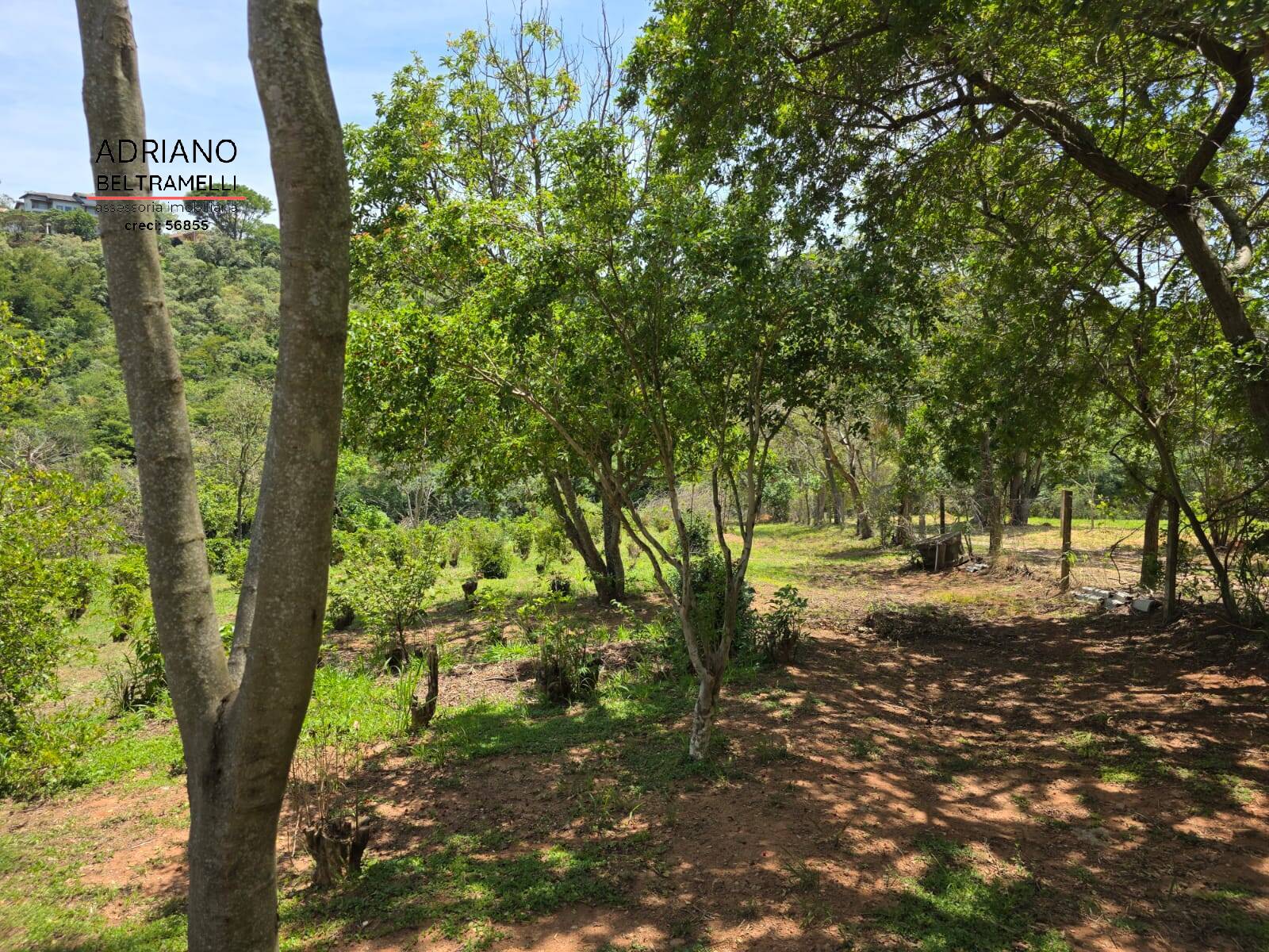 Sítio, 1 quarto, 5 hectares - Foto 55