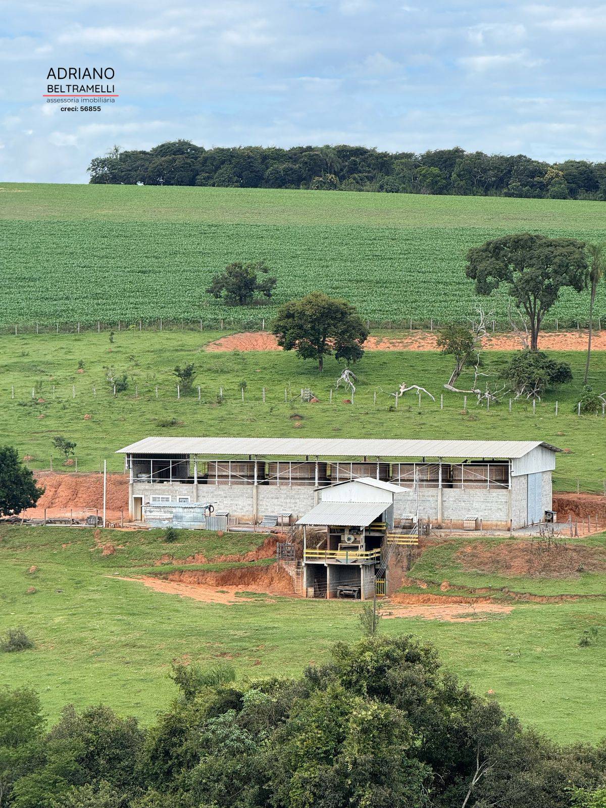 Fazenda, 10 hectares - Foto 4