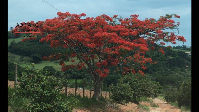 Fazenda, 10 hectares - Foto 5