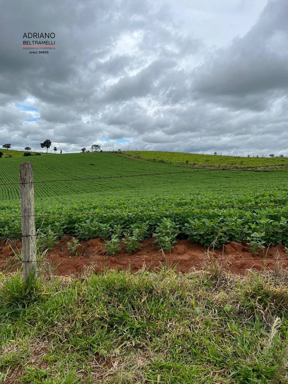 Fazenda, 10 hectares - Foto 10