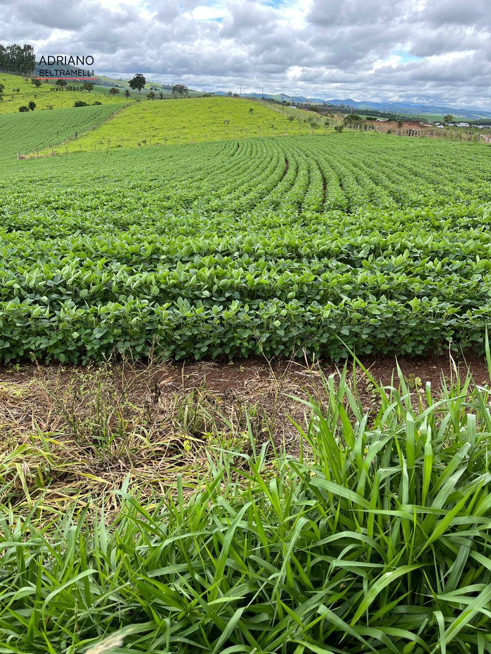 Fazenda, 10 hectares - Foto 12