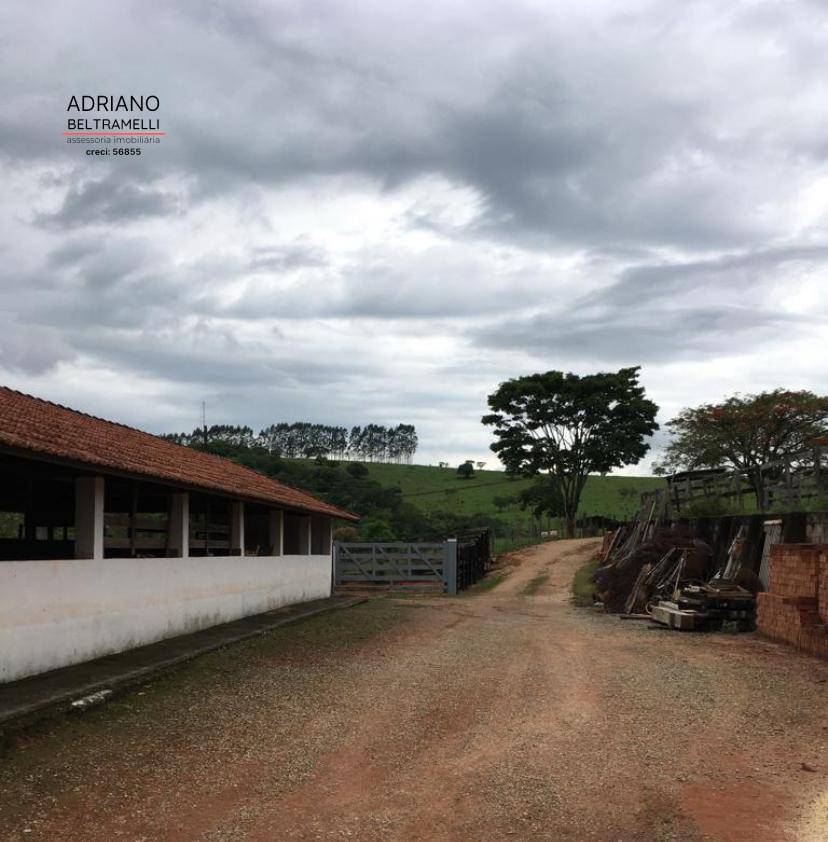 Fazenda, 10 hectares - Foto 15