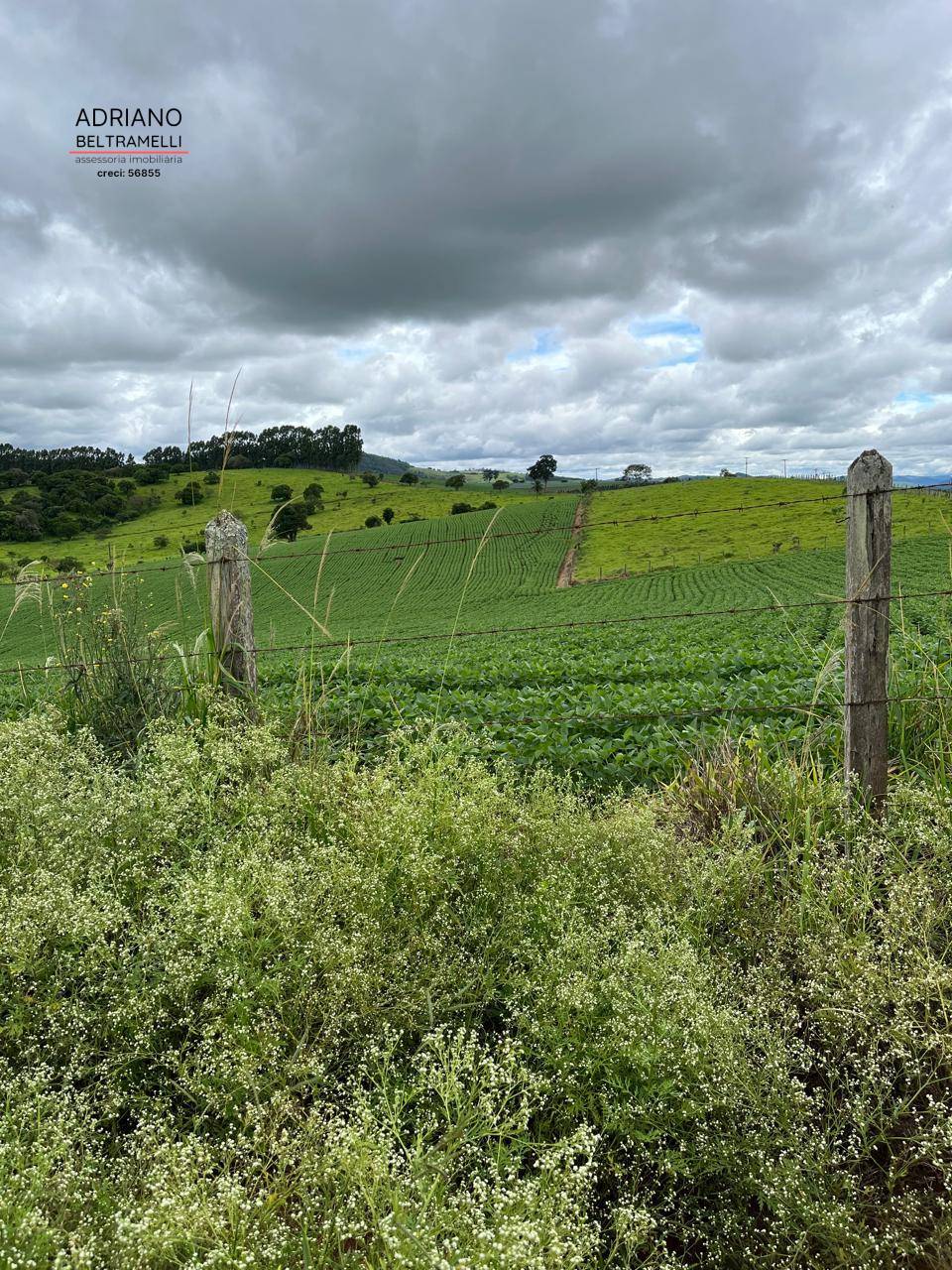 Fazenda, 10 hectares - Foto 14