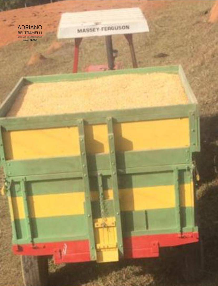 Fazenda, 10 hectares - Foto 19