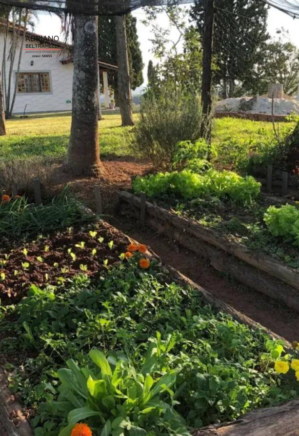 Sítio, 6 quartos, 2 hectares - Foto 5