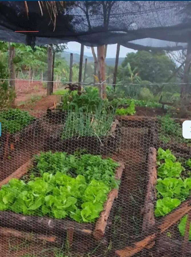 Sítio, 6 quartos, 2 hectares - Foto 3