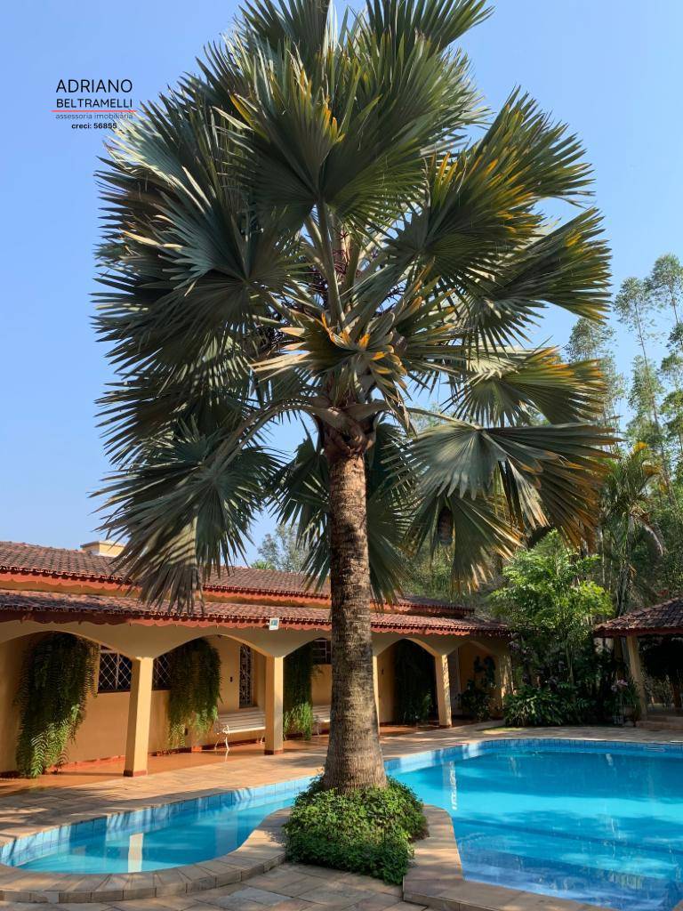 Sítio, 3 quartos, 6 hectares - Foto 13