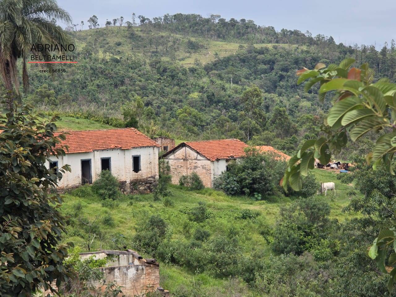 Fazenda, 201 m² - Foto 62