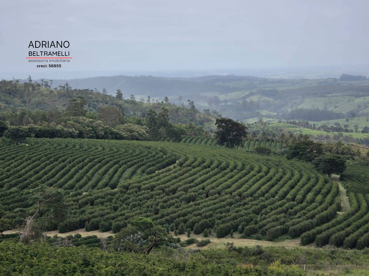 Fazenda, 201 m² - Foto 69