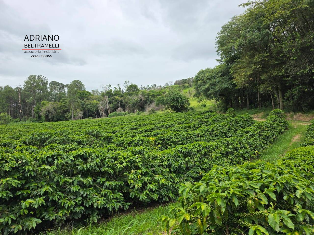 Fazenda, 201 m² - Foto 70