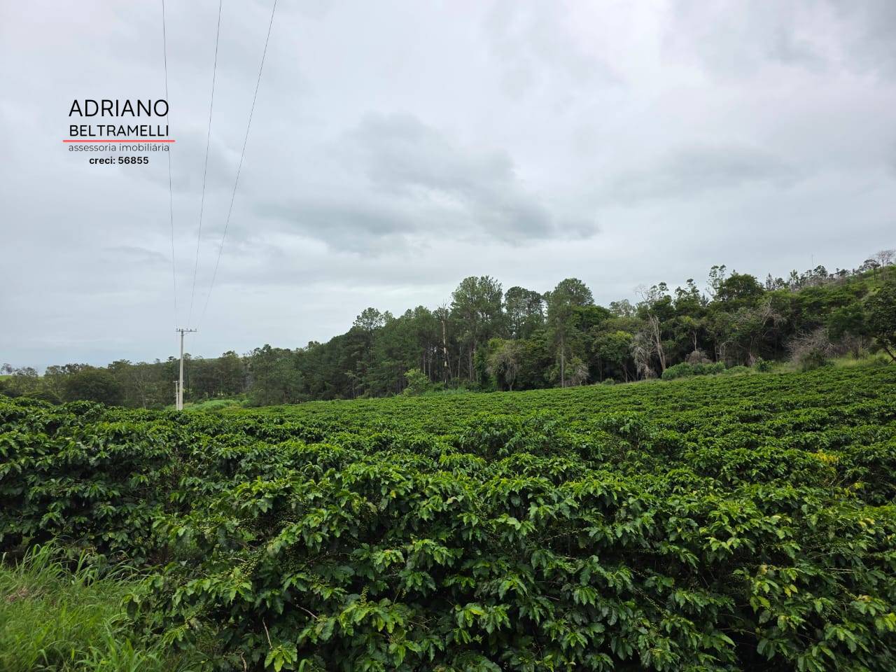 Fazenda, 201 m² - Foto 71