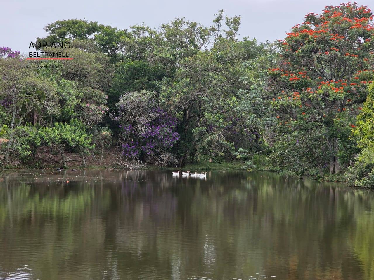 Fazenda, 201 m² - Foto 72