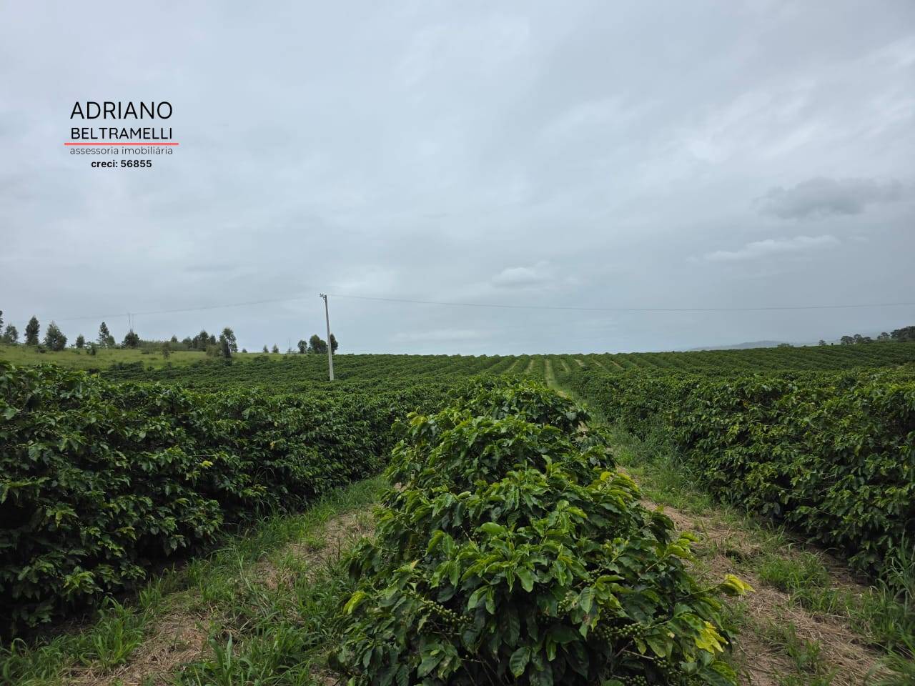 Fazenda, 201 m² - Foto 75